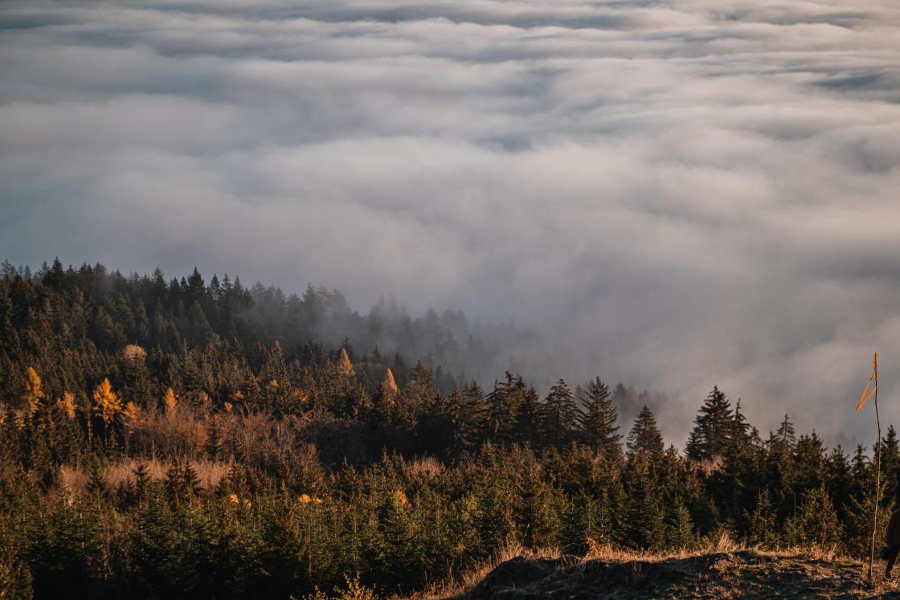 Hotel Horská chata Svatobor Sušice Exteriér fotografie